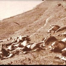 GenocideGalleryCBGR05