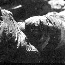 GenocideGalleryCBGR17